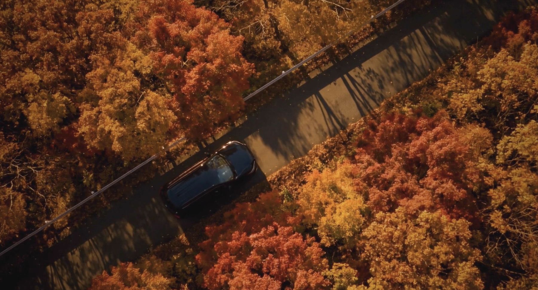 紅葉の山道を走る車を真上から